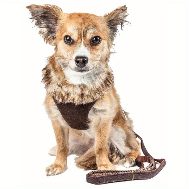 2-In-1 Mesh Reversed Adjustable Dog Harness-Leash W/ Removable Fur Collar
