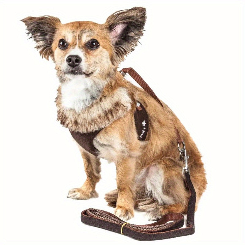 2-In-1 Mesh Reversed Adjustable Dog Harness-Leash W/ Removable Fur Collar