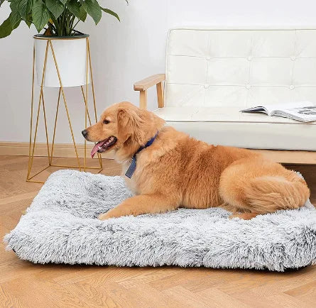 Plush square pet Nest Wave memory foam sofa bed