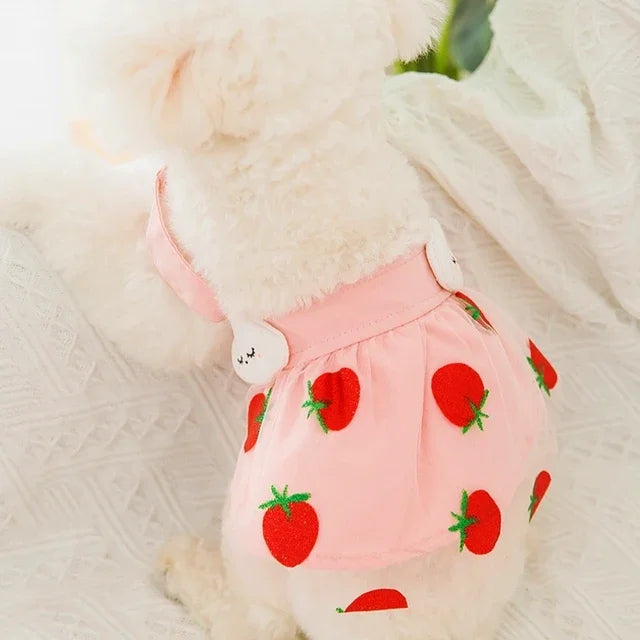 Summer Strawberry Dress Dog Clothing