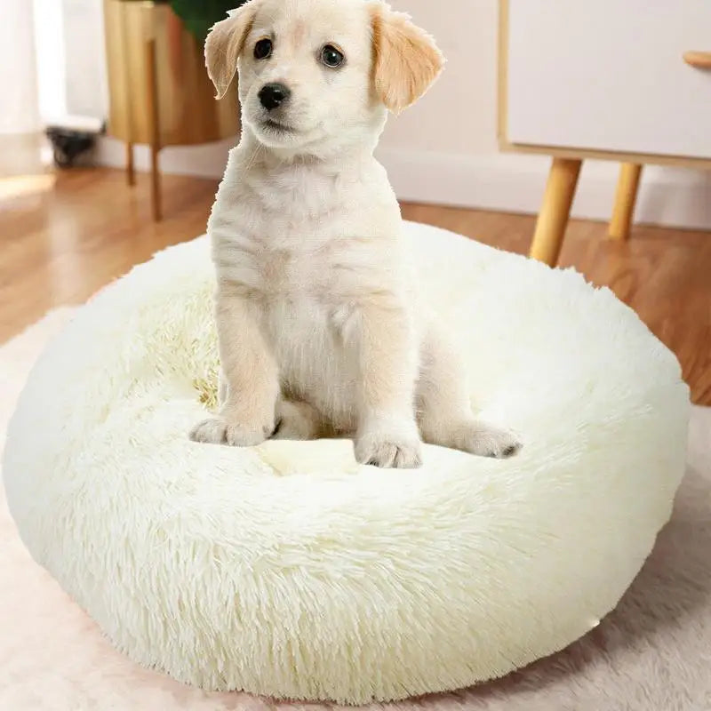 Calming Beds For Cats Dogs