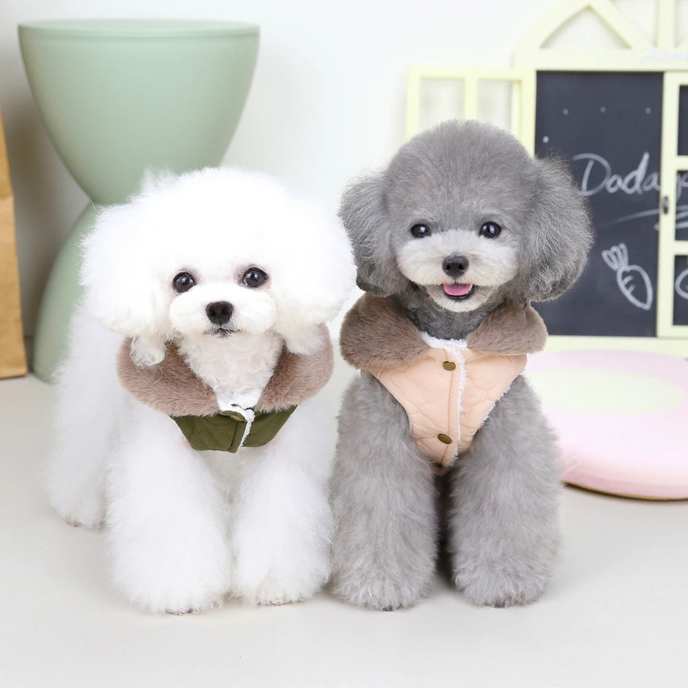Winter Big Fur Collar Dog Jacket