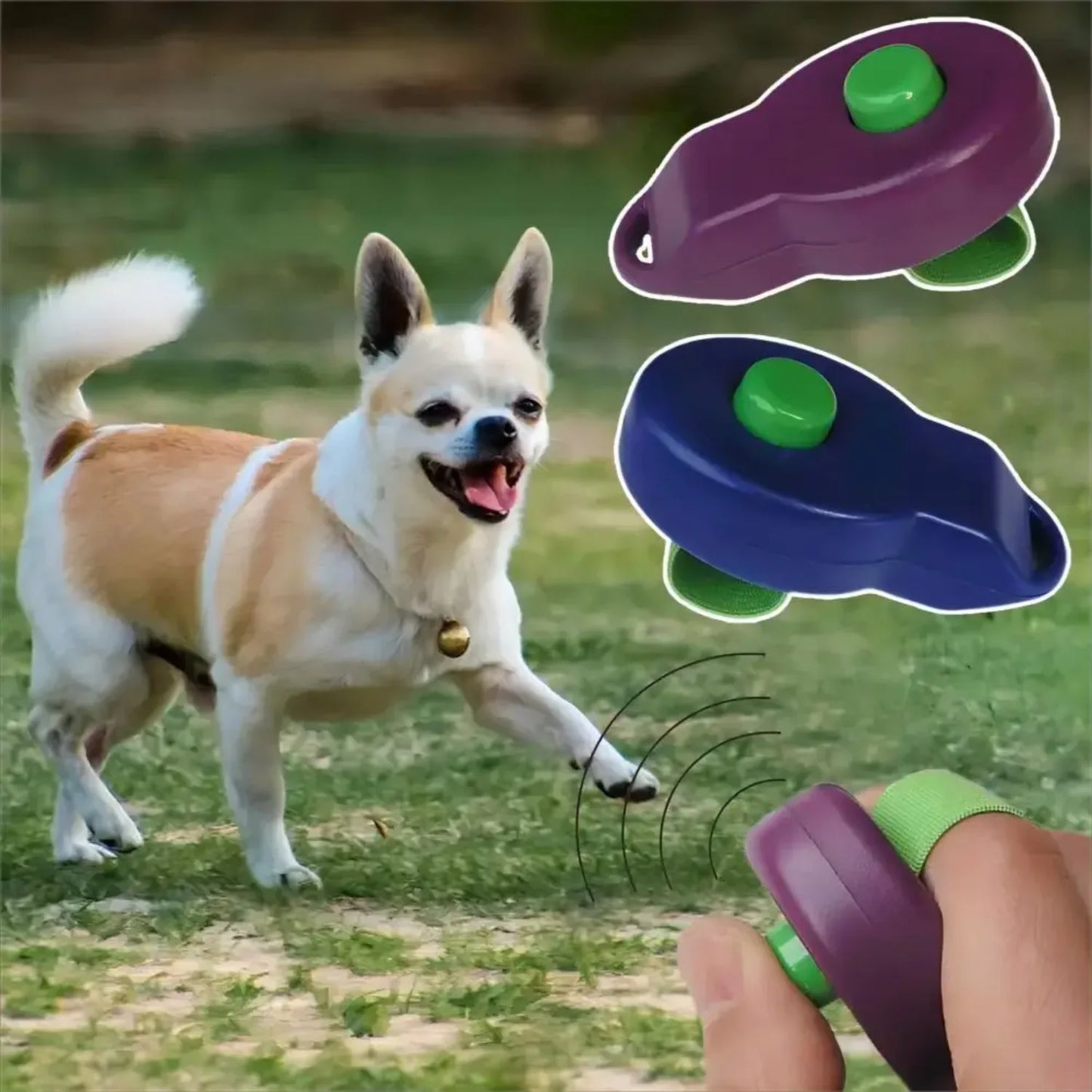 Training Sounder "click" Sound Clicker