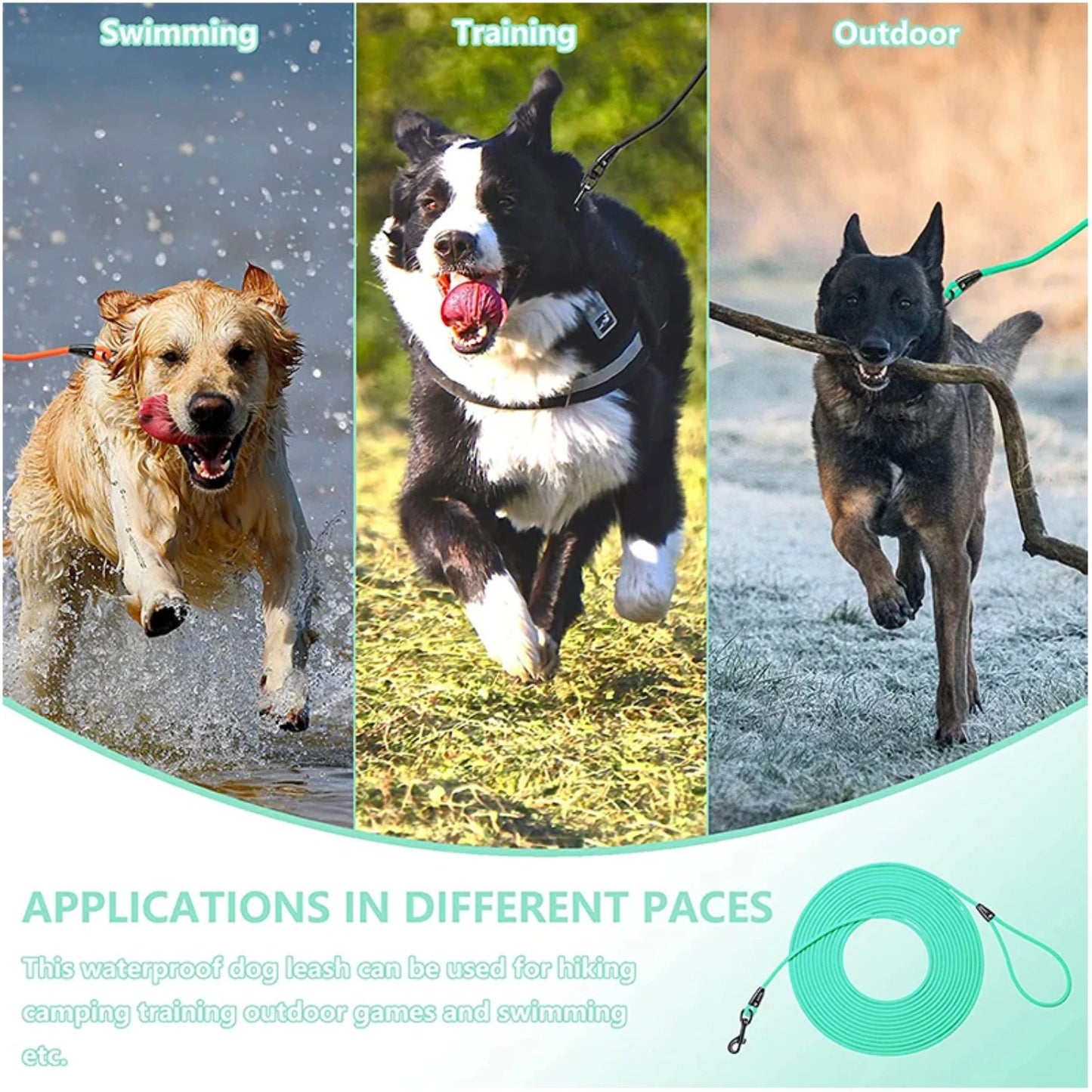 Durable long PVC dog leash Waterproof design perfect for training, yard play, and beach