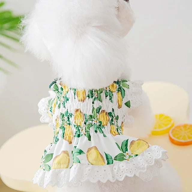 Summer Strawberry Dress Dog Clothing