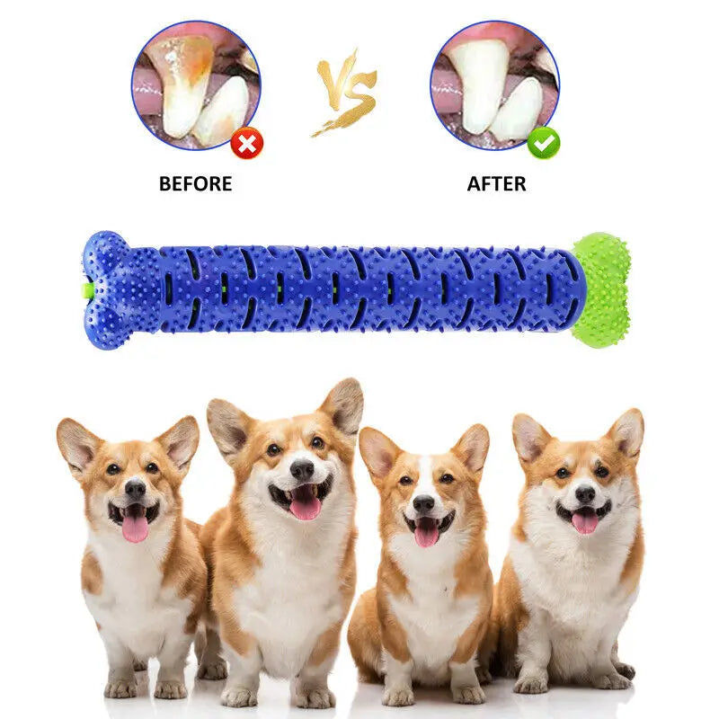 Dog Toothbrush Teeth Cleaning Toy Durable Chewing