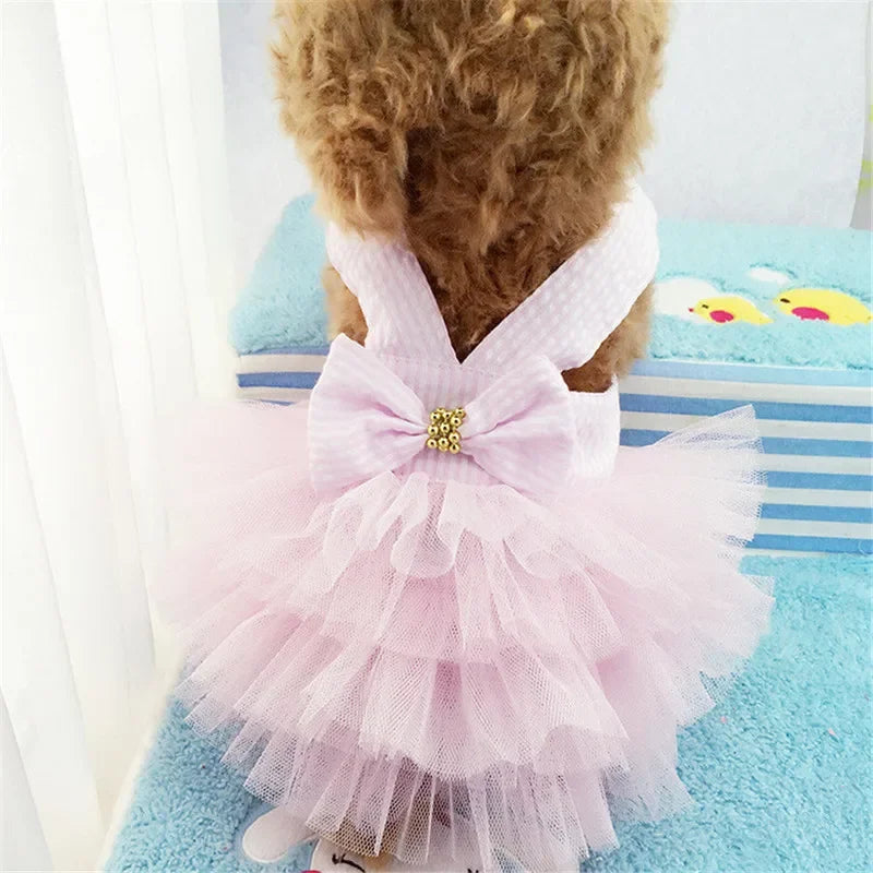 Sling Dog Dress Summer Lace Tullle