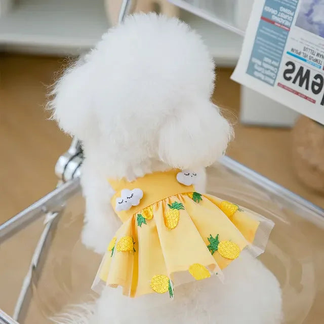 Summer Strawberry Dress Dog Clothing