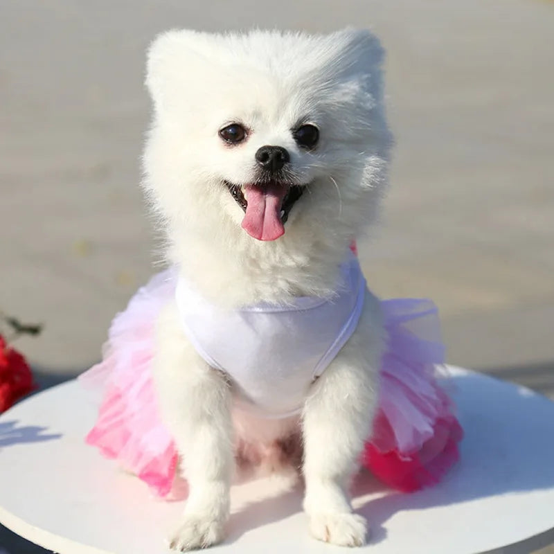 Sweet Dog Princess Dress for Spring Summer