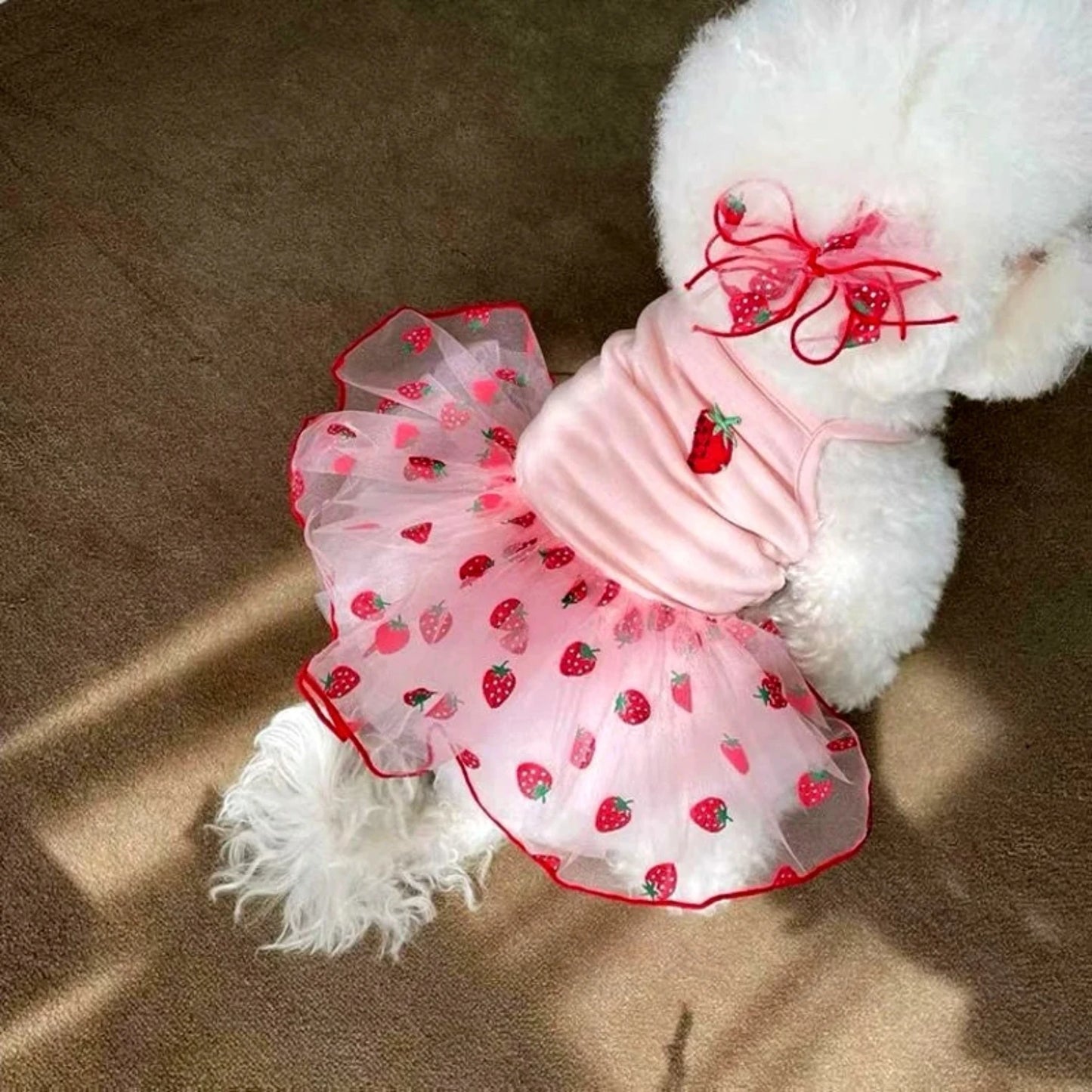 Summer Strawberry Dress Dog Clothing