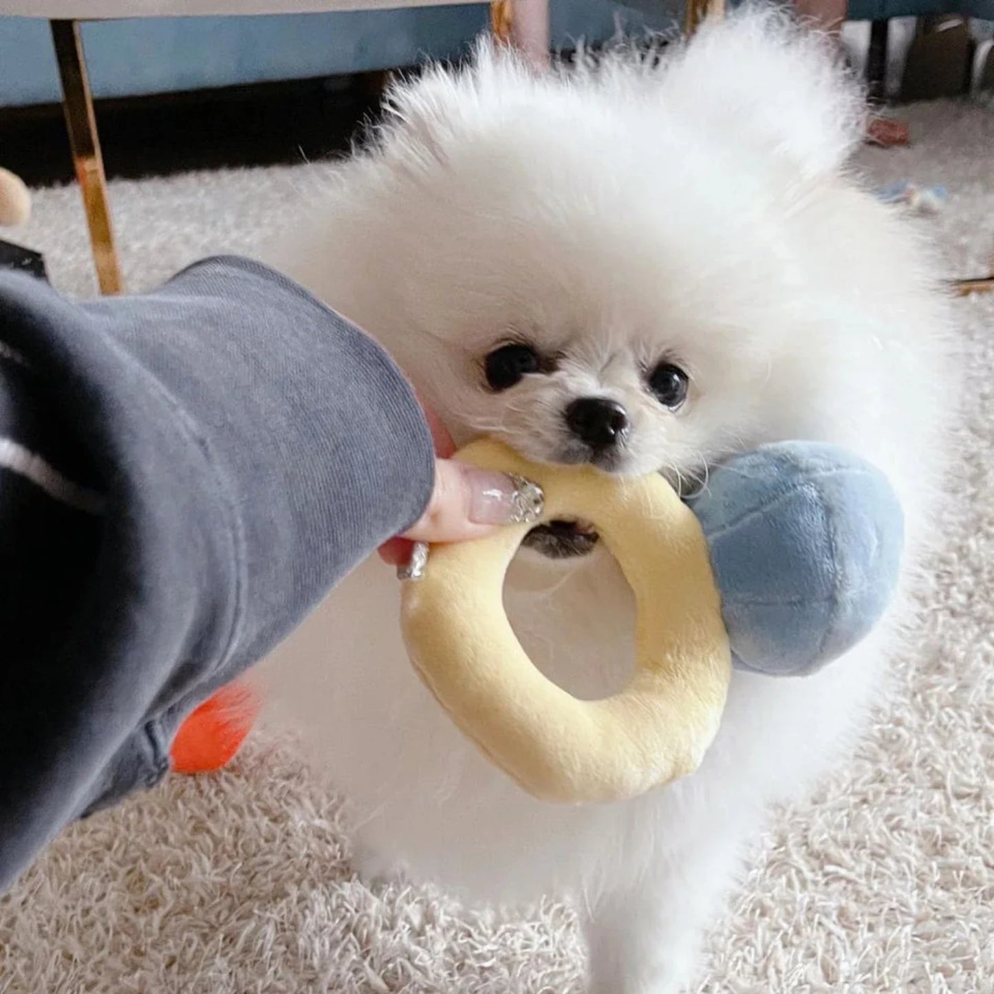 Creative Ring Box Plush Toy