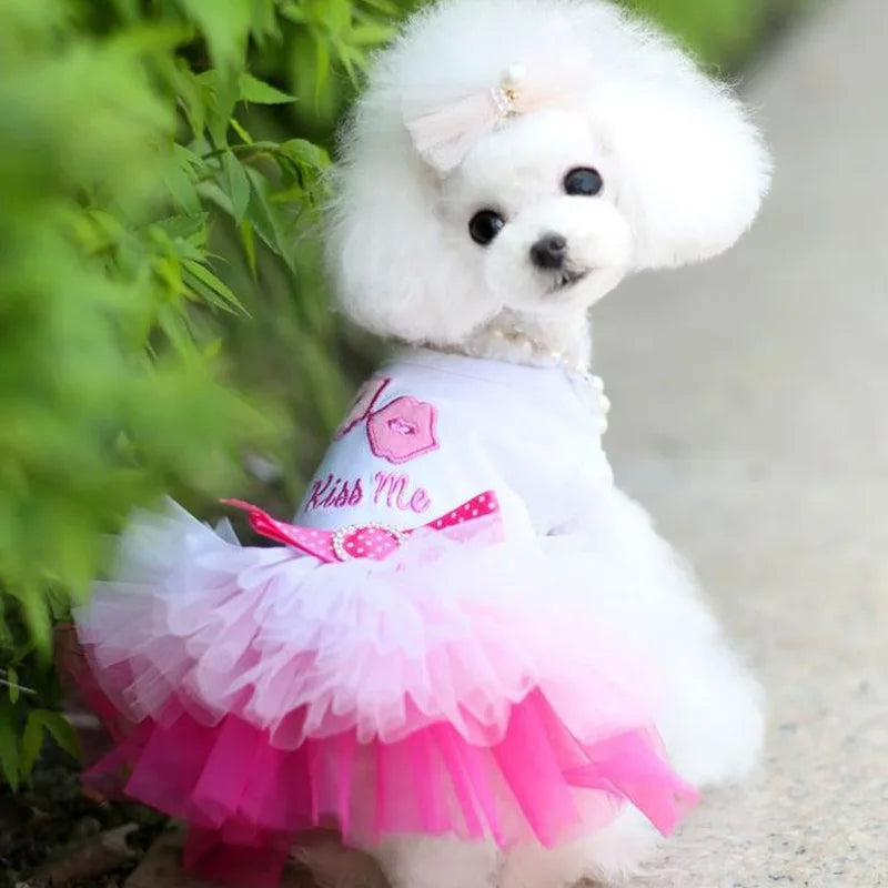 Sweet Dog Princess Dress for Spring Summer