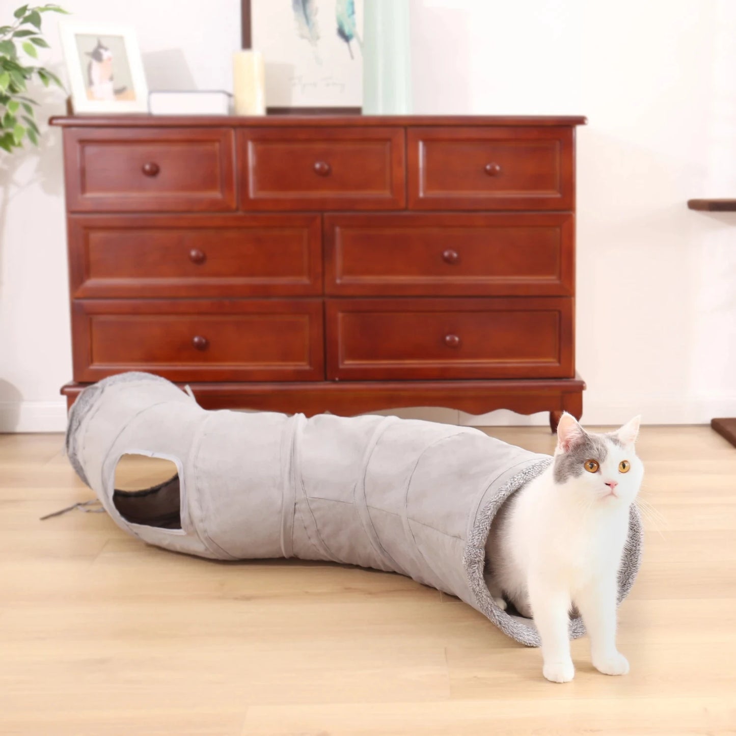 Foldable Pet Cat Tunnel Tube