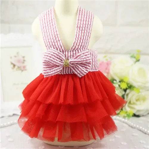Sling Dog Dress Summer Lace Tullle