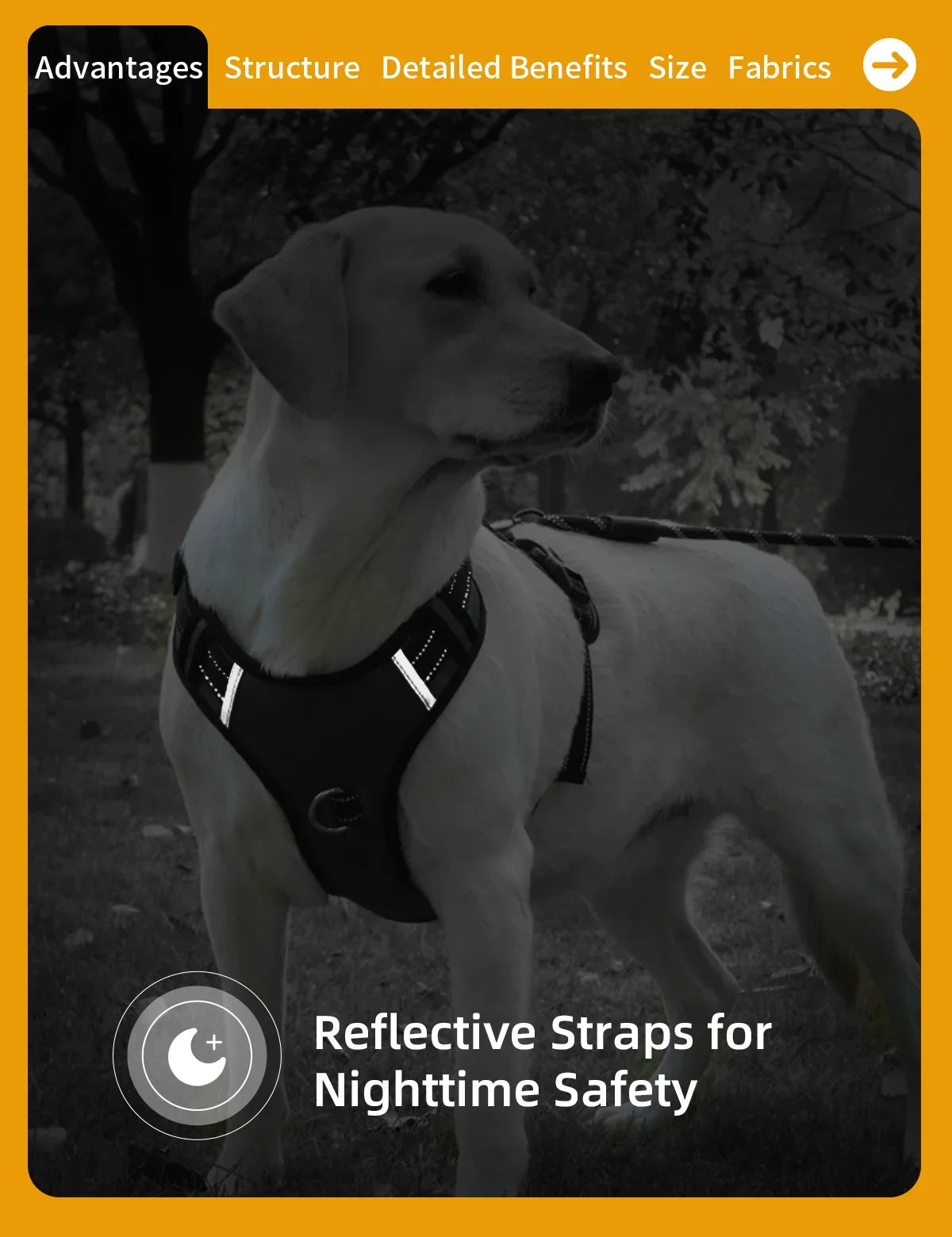 Reflective Dog Vest Harness