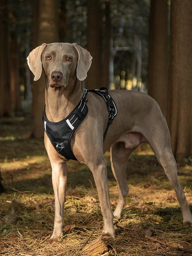 Reflective Dog Vest Harness