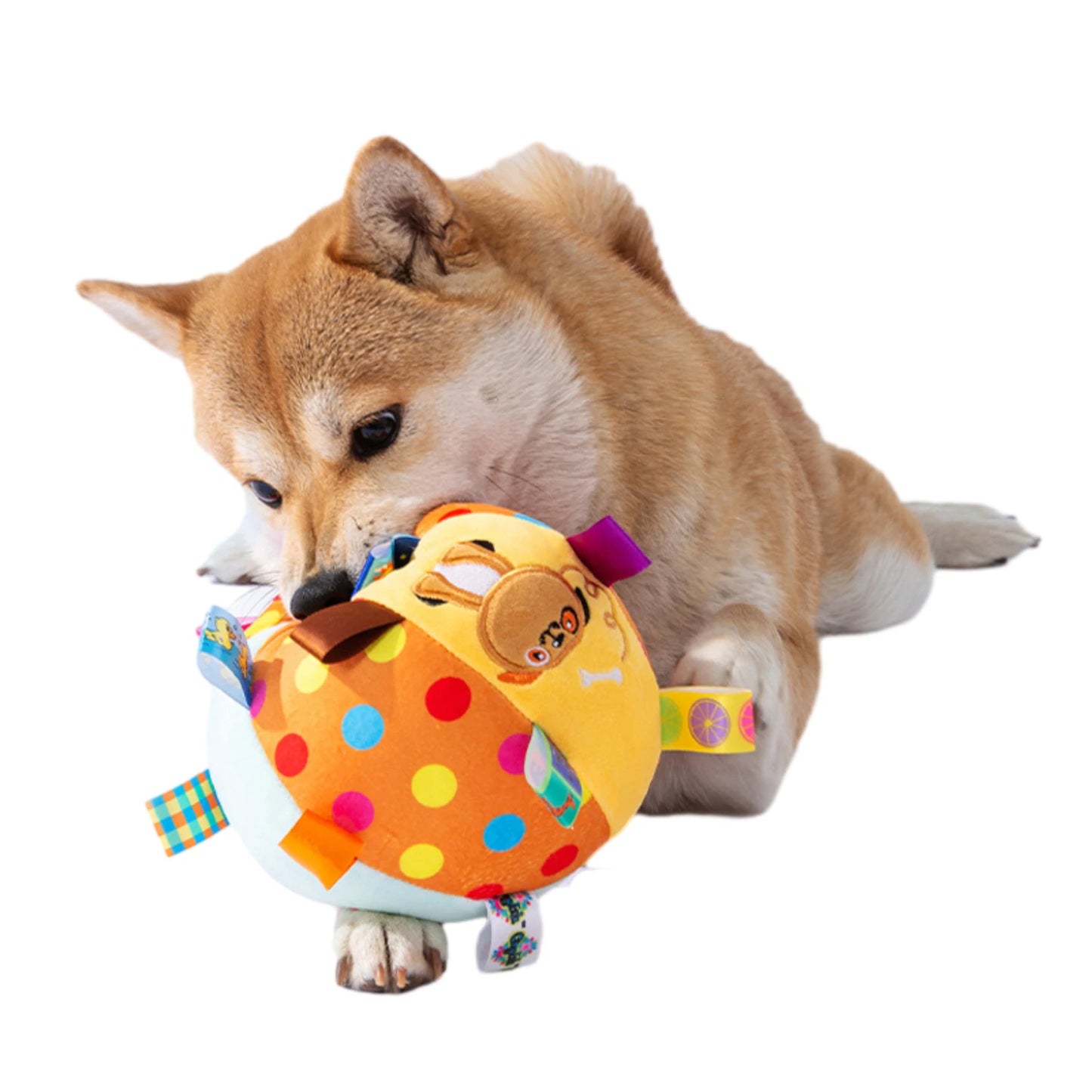 Ball Funny Interactive Pet Toy