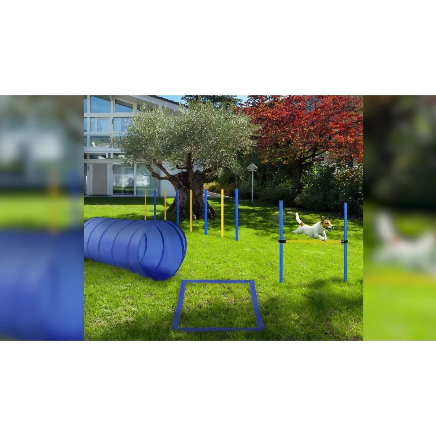 Dog Agility Training Kit Obstacle Course Equipment Jump Tunnel -