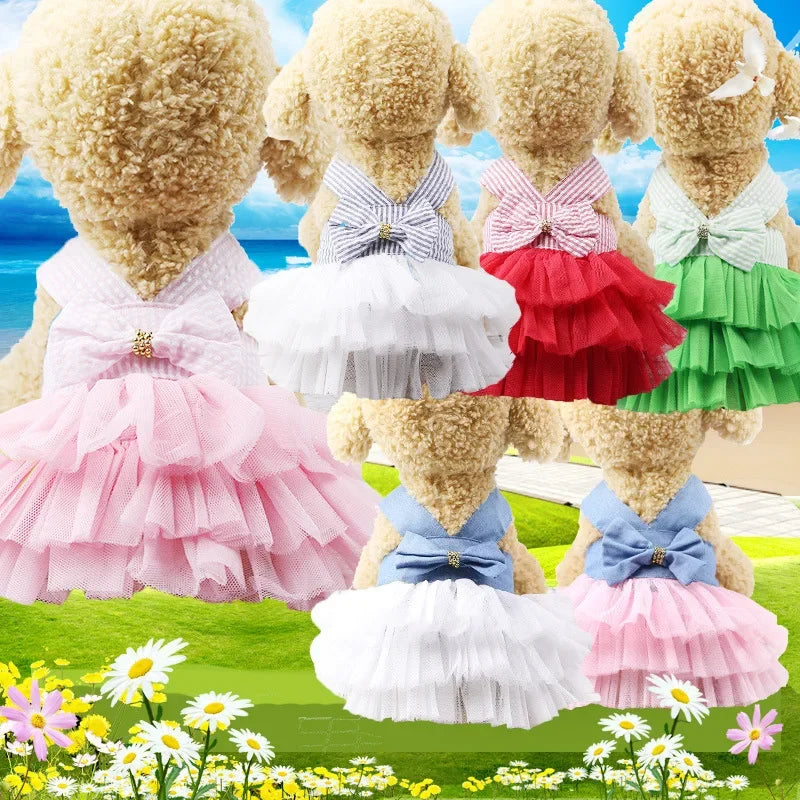 Sling Dog Dress Summer Lace Tullle